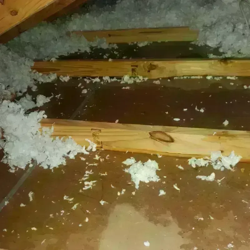 Attic Water Damage in Alorton, IL